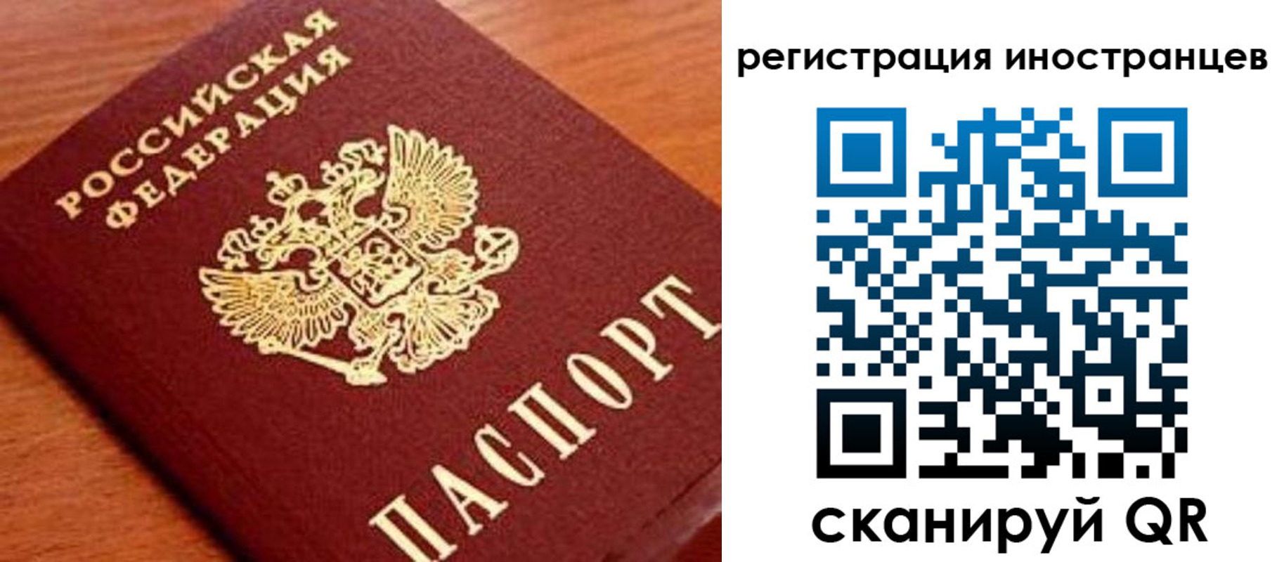 временная регистрация поиск в Балтийске